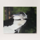 ボブラングリシュ | Gypsy Vanner Horseヘッドショット ジグソーパズル (横)