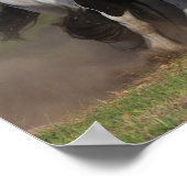 ボブラングリシュ | Gypsy Vanner HorsesのランニングHerd ポスター (角)