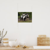 ボブラングリシュ | Gypsy Vanner HorsesのランニングHerd ポスター (キッチン)