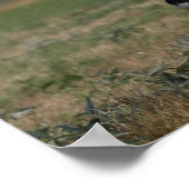 ボブラングリシュ | Gypsy Vanner Mareとフォールランニングズ ポスター (角)