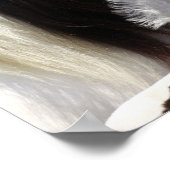 ボブラングリシュ | Gypsy Vanner MareとFoal Headshot ポスター (角)