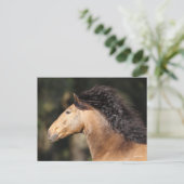 ボブラングリシュ | Lusitanoヘッドショットマネ流れ ポストカード (スタンド正面)