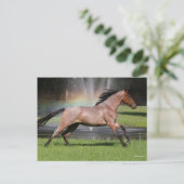 ボブラングリシュ | Mangalarga Horse ランニングの虹 ポストカード (スタンド正面)