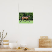 ボブラングリシュ | New Forest Pony Stallion ポスター (キッチン)