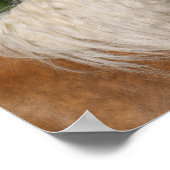 ボブラングリシュ | Palominoクォーターホースヘッドショット ポスター (角)