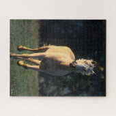 ボブラングリシュ | Palomino Horseのバックランニングライト ジグソーパズル (横)