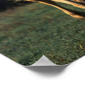 ボブラングリシュ | Palomino Horseのバックランニングライト ポスター (角)