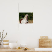 ボブラングリシュ | Pinto Hflingerヘッドショット ポスター (キッチン)