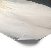 ボブラングリシュ | Pinto Hflinger Horseヘッドショット ポスター (角)