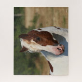 ボブラングリシュ | Pinto Hflinger Stallionヘッドショット ジグソーパズル (縦)