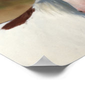 ボブラングリシュ | Pinto Hflinger Stallionヘッドショット ポスター (角)