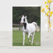 ボブラングリシュ | Pinto Warmblood カード (黄色い花)