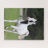 ボブラングリシュ | Pinto Warmblood ジグソーパズル (横)