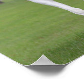 ボブラングリシュ | Pinto Warmblood ポスター (角)