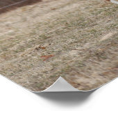 ボブラングリシュ | Quarter Horse Mare and 絵を描 Foal ポスター (角)