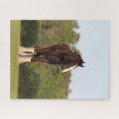 ボブラングリシュ | Shire Horseフィールドに立つ ジグソーパズル (横)