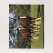 ボブラングリシュ | Shire Horse Youngsters立ち ジグソーパズル (縦)