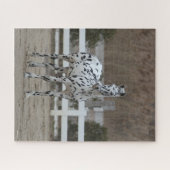 ボブラングリシュ | Spotty Appaloosa Friensian立ち上がり ジグソーパズル (横)