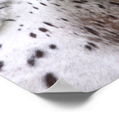 ボブラングリシュ | Spotty Knapstrupperヘッドショット ポスター (角)