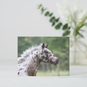 ボブラングリシュ | Spotty Knapstrupperヘッドショット ポストカード (スタンド正面)