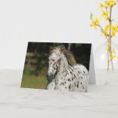 ボブラングリシュ | Spotty Pony Of Americaヘッドショット カード (黄色い花)