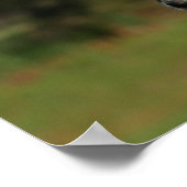 ボブラングリシュ | Spotty Pony Of Americaヘッドショット ポスター (角)