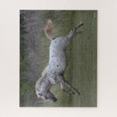 ボブラングリシュ | Spotty Pony of America跳躍 ジグソーパズル (縦)