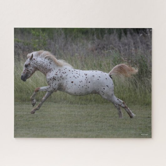 ボブラングリシュ | Spotty Pony of America跳躍 ジグソーパズル (横)
