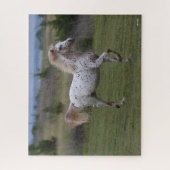 ボブラングリシュ | Spotty Pony Of America ジグソーパズル (縦)