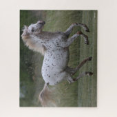 ボブラングリシュ | Spotty Pony Of America ランニングS ジグソーパズル (縦)