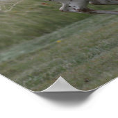 ボブラングリシュ | Spotty Pony Of America ランニングS ポスター (角)