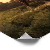 ボブラングリシュ | Two Arab Horses歩くat Sunset ポスター (角)