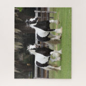 ボブラングリシュ | Two Black and White Gypsy Vanners ジグソーパズル (縦)