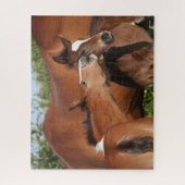 ボブラングリシュ | Two Irish Sport Horse 遊s ジグソーパズル (縦)