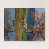 ボブラングリシュ | Two Together Warmbloods By Lake ジグソーパズル (横)