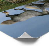 ボブラングリシュ | Two Together Warmbloods By Lake ポスター (角)