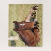 ボブラングリシュ | Warmboodの群れが草の中に横たわっている ジグソーパズル (縦)