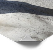 ボブラングリシュ | Warmbood MareとFoalヘッドショット ポスター (角)