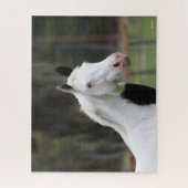 ボブラングリシュ | Warmbood Pinto Horse Headshot ジグソーパズル (縦)