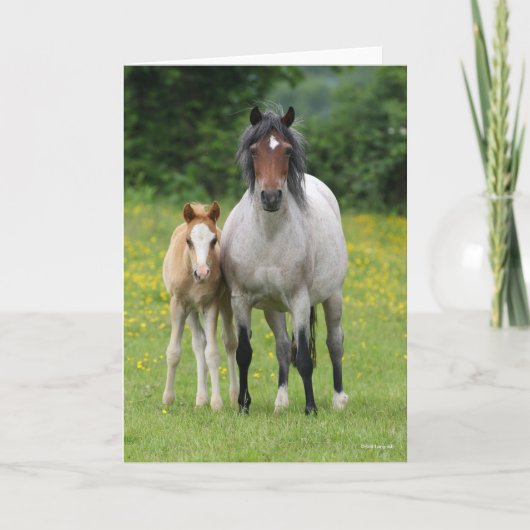 ボブラングリシュ Welsh Pony MareとFoal Standing カード (正面)
