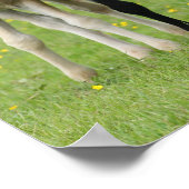 ボブラングリシュ Welsh Pony MareとFoal Standing ポスター (角)