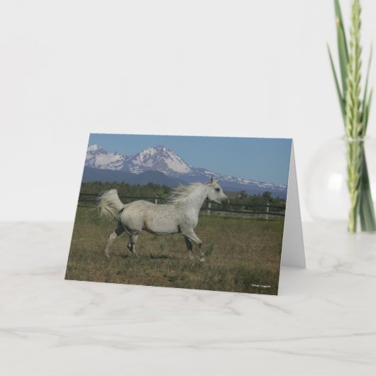 ボブラングリスグレイランニングアラブの山の背景 カード (正面)