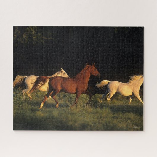 ボブラングリススリーアラブランニングス夕べ光 ジグソーパズル (横)