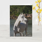 ボブラングリッシュアラブマーレ,水の源に立つ カード (黄色い花)