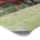 ボブラングリッシュウェルシランニングポニーズマールズ&フォール ポスター (角)