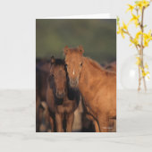 ボブラングリッシュカスピンポニーフォアルズ カード (黄色い花)