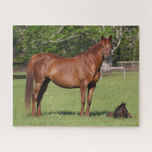 ボブラングリッシュクォーターホースマーレアンドフォールスタンディング ジグソーパズル (横)