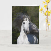 ボブラングリッシュグレーアンダルシアンヘッドショットマネフロー カード (黄色い花)