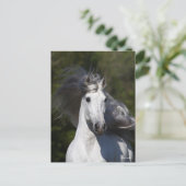 ボブラングリッシュグレーアンドラウチアンヘッドショットマネフローリング ポストカード (スタンド正面)