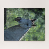 ボブラングリッシュグレーオランダワームブロードヘッドショットバックライト ジグソーパズル (横)